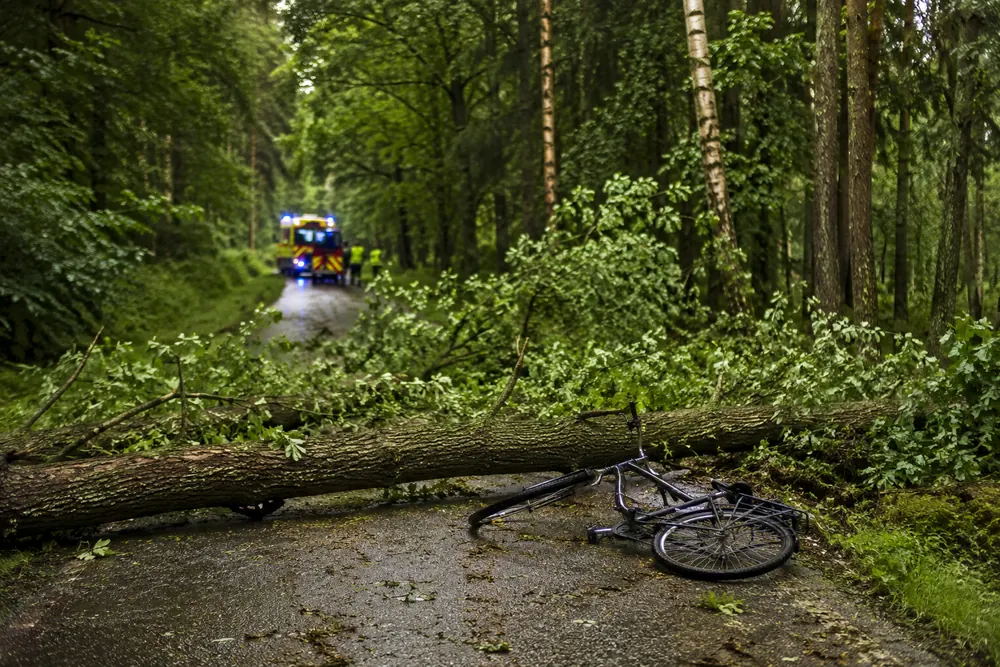 Man omkom efter fallande träd under cykeltur