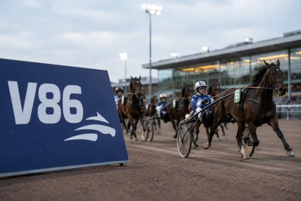 Stora skrällar gav mångmiljonutdelning i V86
