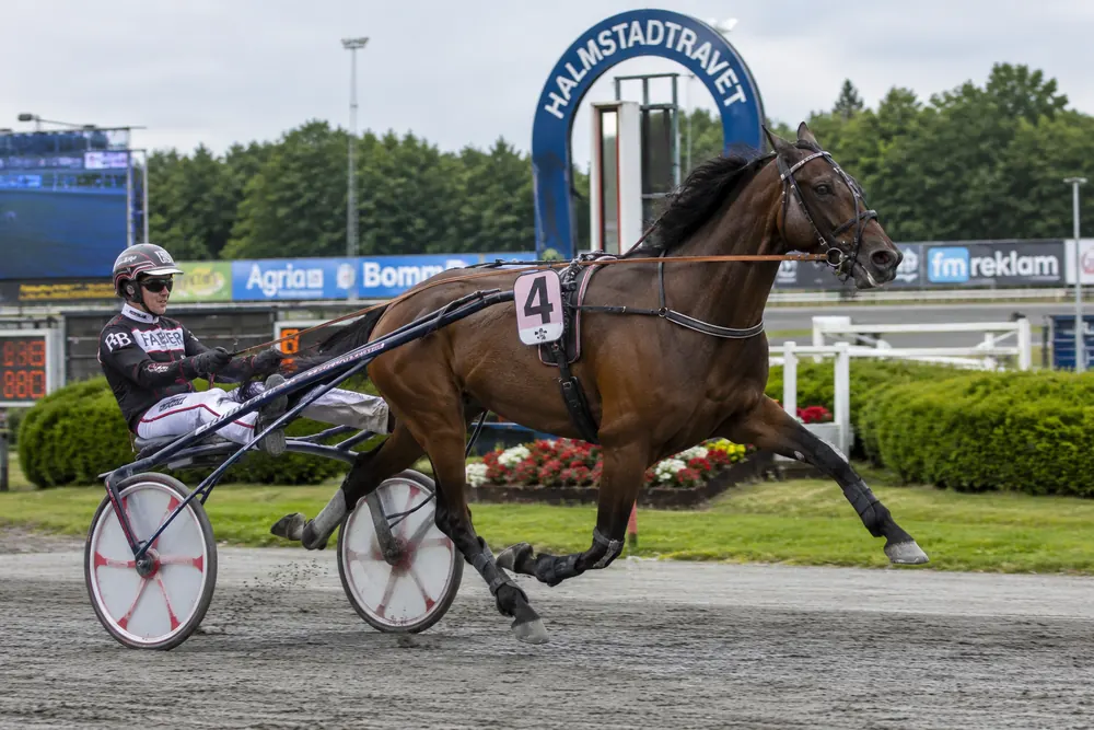 Gourmet d'Arc tog hem miljonloppet