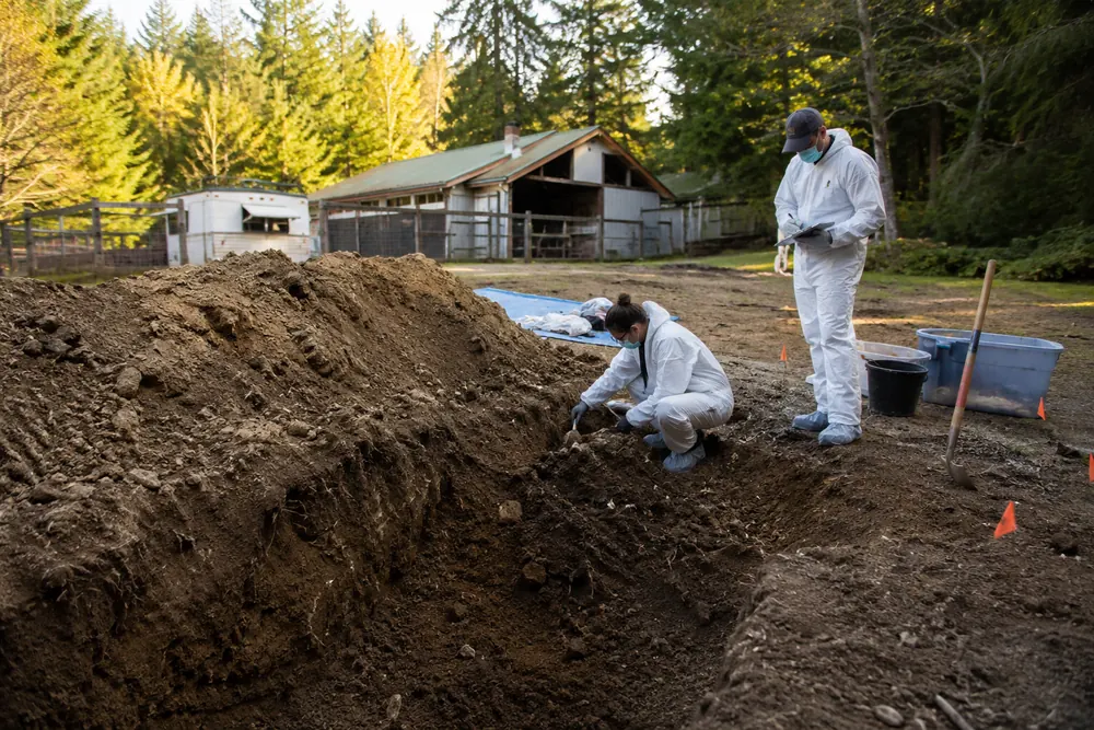 Massgrav med 117 hundar utreds i Kalifornien