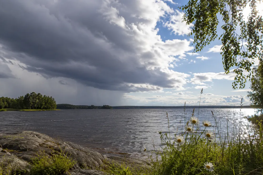 Sommarvärmen väntas återvända senare i veckan