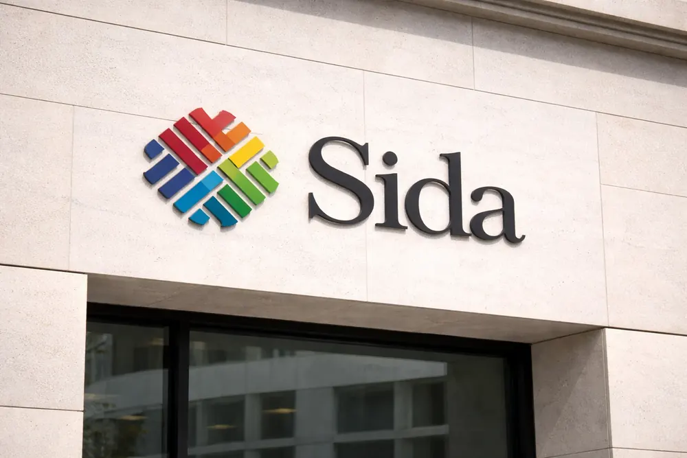 Hanna Hellquist utses till ordinarie Sida-chef